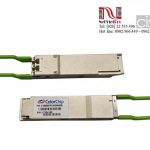 ColorChip 100G QSFP28 CWDM4 Transceiver